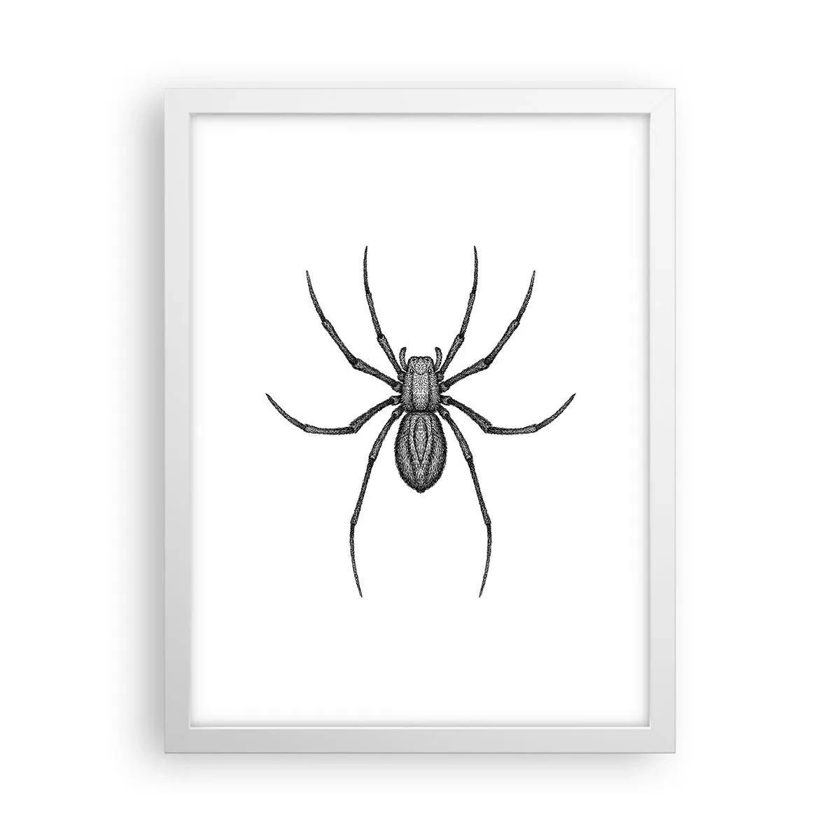 Poster in einem weißen Rahmen - Beunruhigende Präzision - 30x40 cm