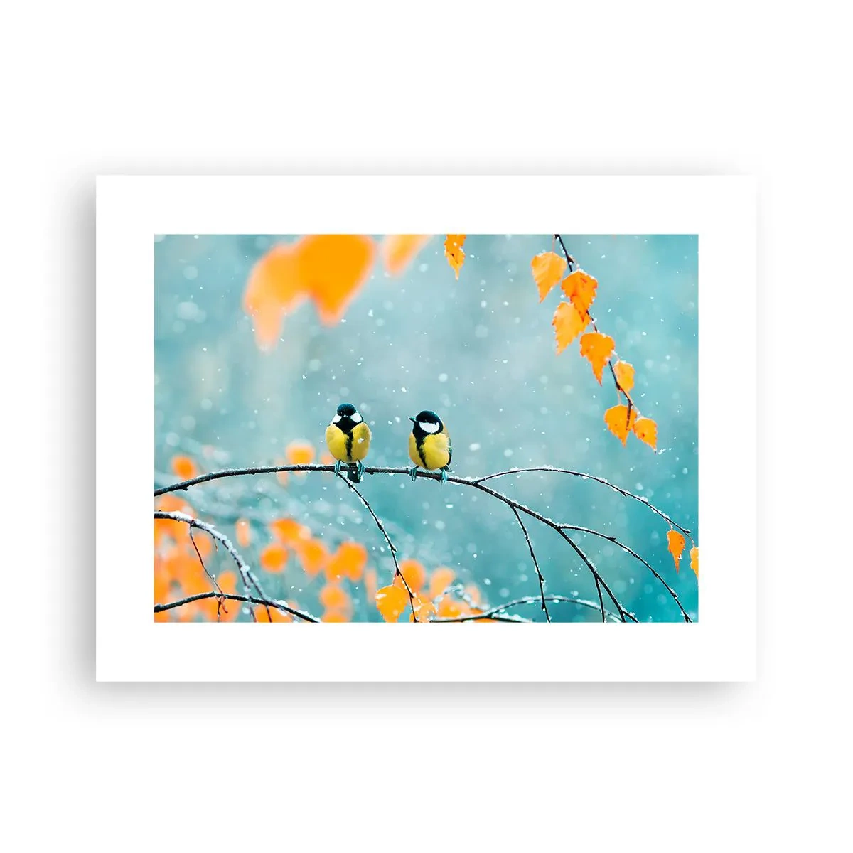 Poster - Vogelklatsch - 40x30 cm
