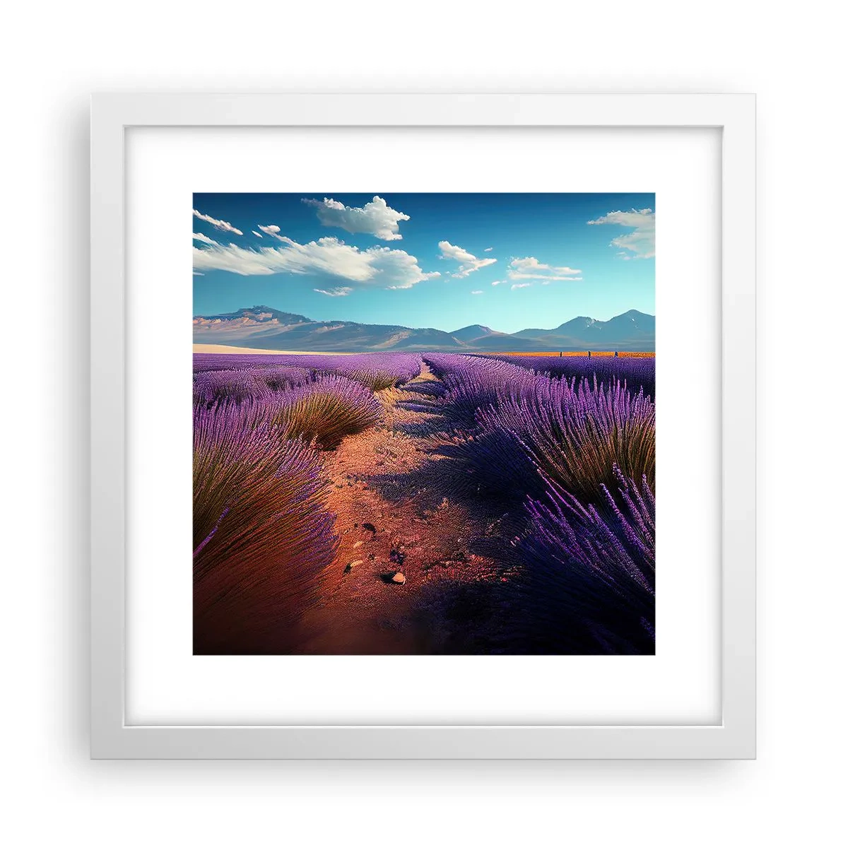 Poster in einem weißen Rahmen - Duftende Felder - 30x30 cm