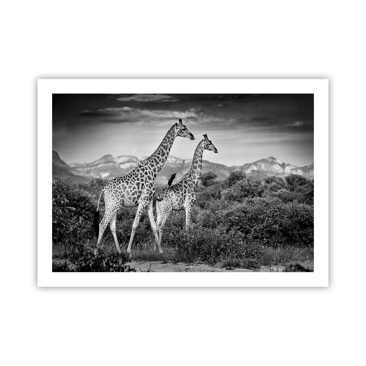 Poster - Hohe Sphären in Afrika - 70x50 cm