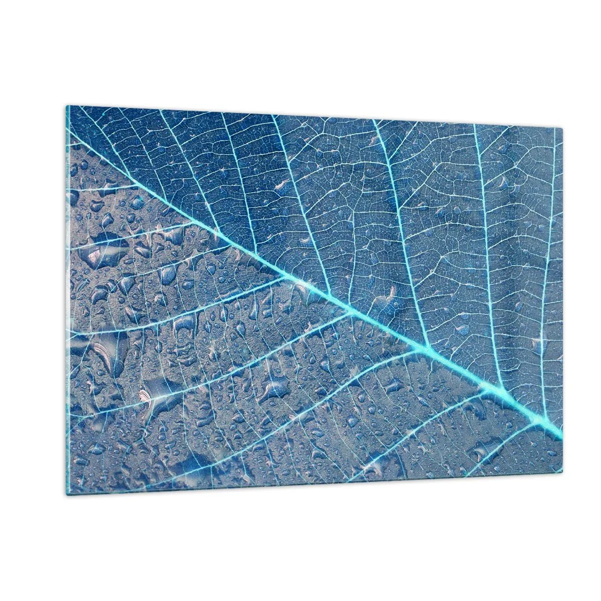 Glasbild - Bild auf glas - Makrofotografie eines Blattes mit Wassertropfen in Blautönen - 120x80cm - Leben in Blau - Moderne Wanddekoration für Wohnzimmer und Schlafzimmer ARTTOR