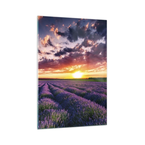 Glasbild - Bild auf glas - Ein Lavendelfeld bei Sonnenuntergang mit einem farbenfrohen Himmel - 70x100cm - Lavendel Welt - Moderne Wanddekoration für Wohnzimmer und Schlafzimmer ARTTOR